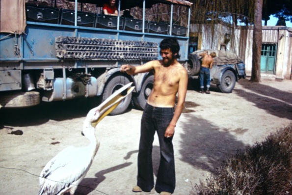 SVC339H - (8) Kathmandu:London 1976 - Wildlife interaction Harat Afghanistan - Leader Derek Biddle