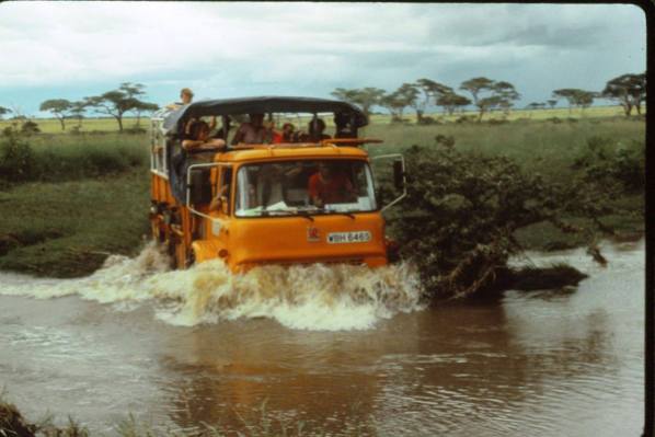 WBH646S - Serengeti 1985 (EM Anne-Michelle Bilborough)